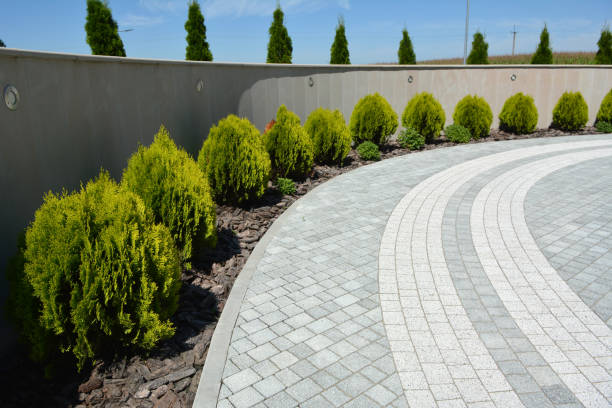  Lake Village, AR Driveway Pavers Pros