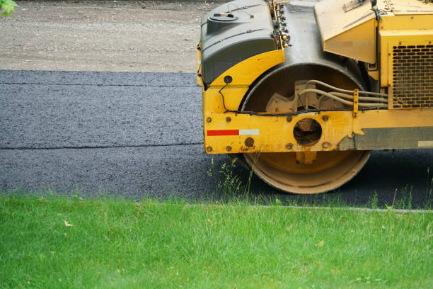 Best Residential Paver Driveway  in Lake Village, AR